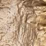 7_Uttermost Archive 19" Square Brass Metal Wall Art more views
