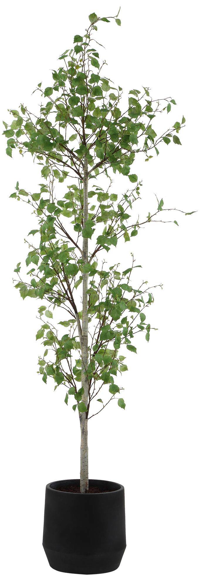 Image 2 Uttermost Boreal Potted 86 1/4" High Faux Birch Tree