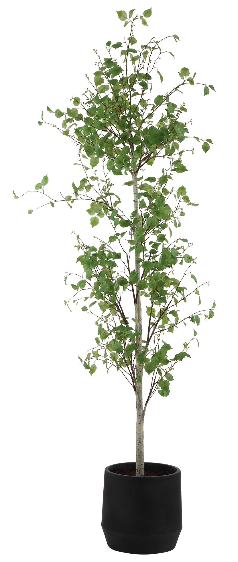 Image 4 Uttermost Boreal Potted 86 1/4" High Faux Birch Tree more views