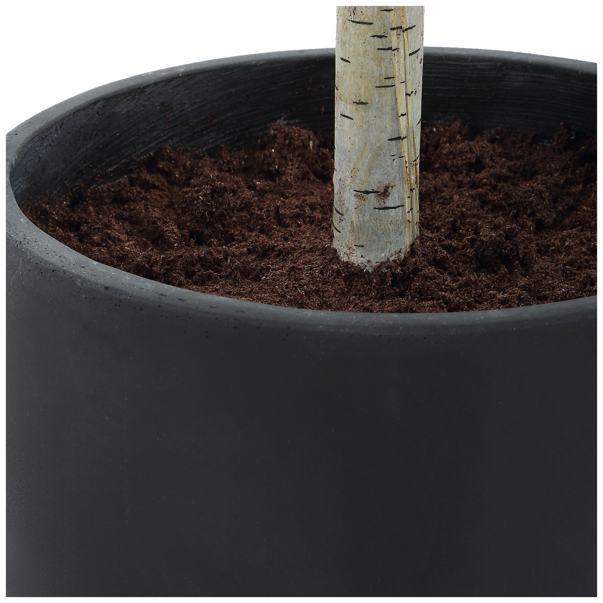 Image 6 Uttermost Boreal Potted 86 1/4" High Faux Birch Tree more views