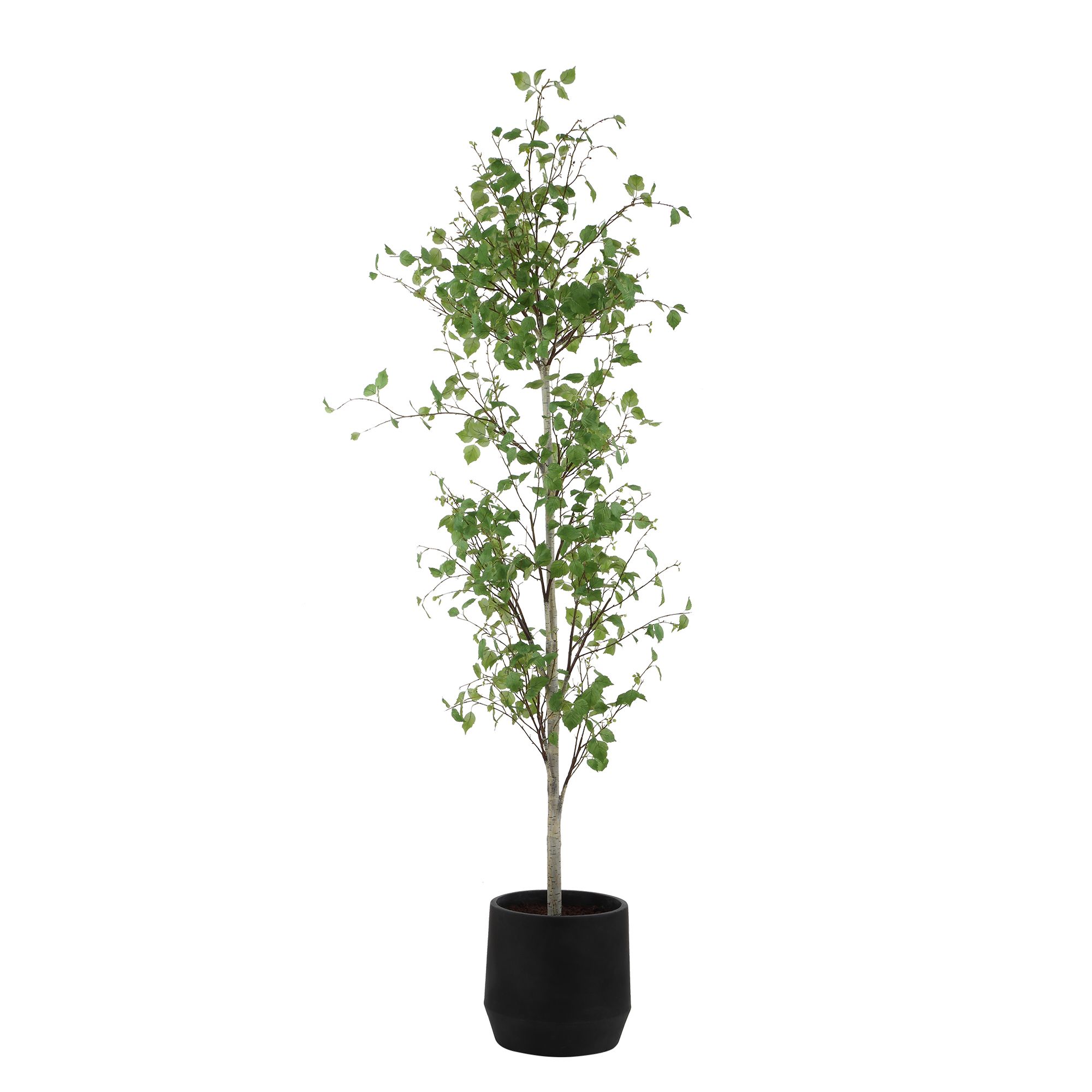Image 4 Uttermost Boreal Potted 86 1/4" High Faux Birch Tree more views
