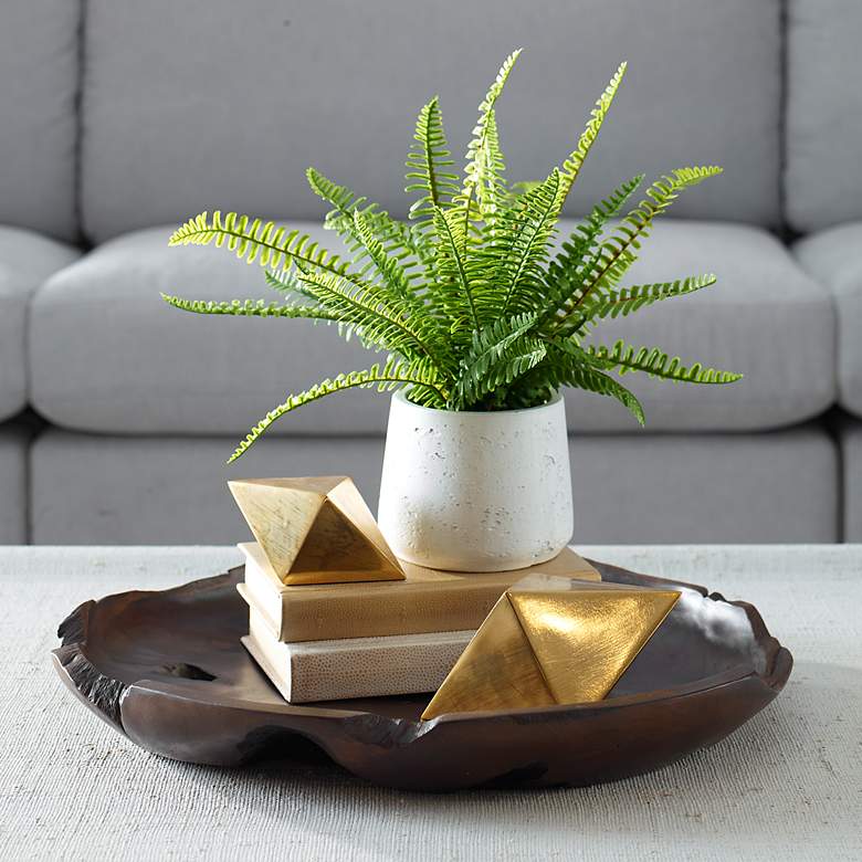 Image 1 Uttermost Boston 14" Fern Accent