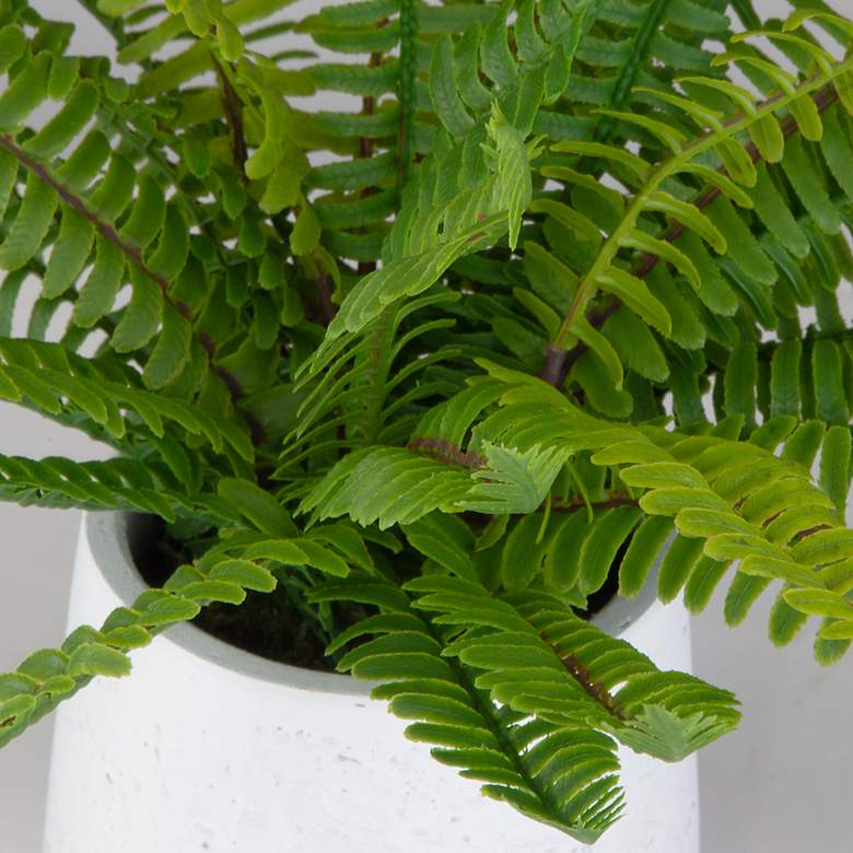 Image 3 Uttermost Boston 14" Fern Accent more views