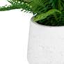 4_Uttermost Boston 14" Fern Accent more views