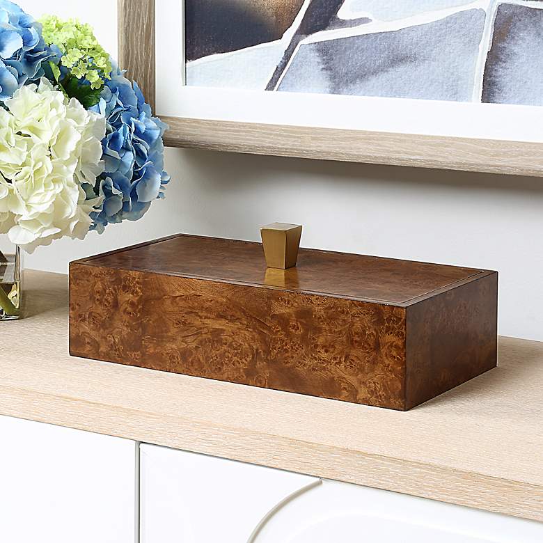 Image 1 Uttermost Burl Haven Box