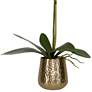 Uttermost Cami White Orchid 24"H Faux Flower in Brass Pot