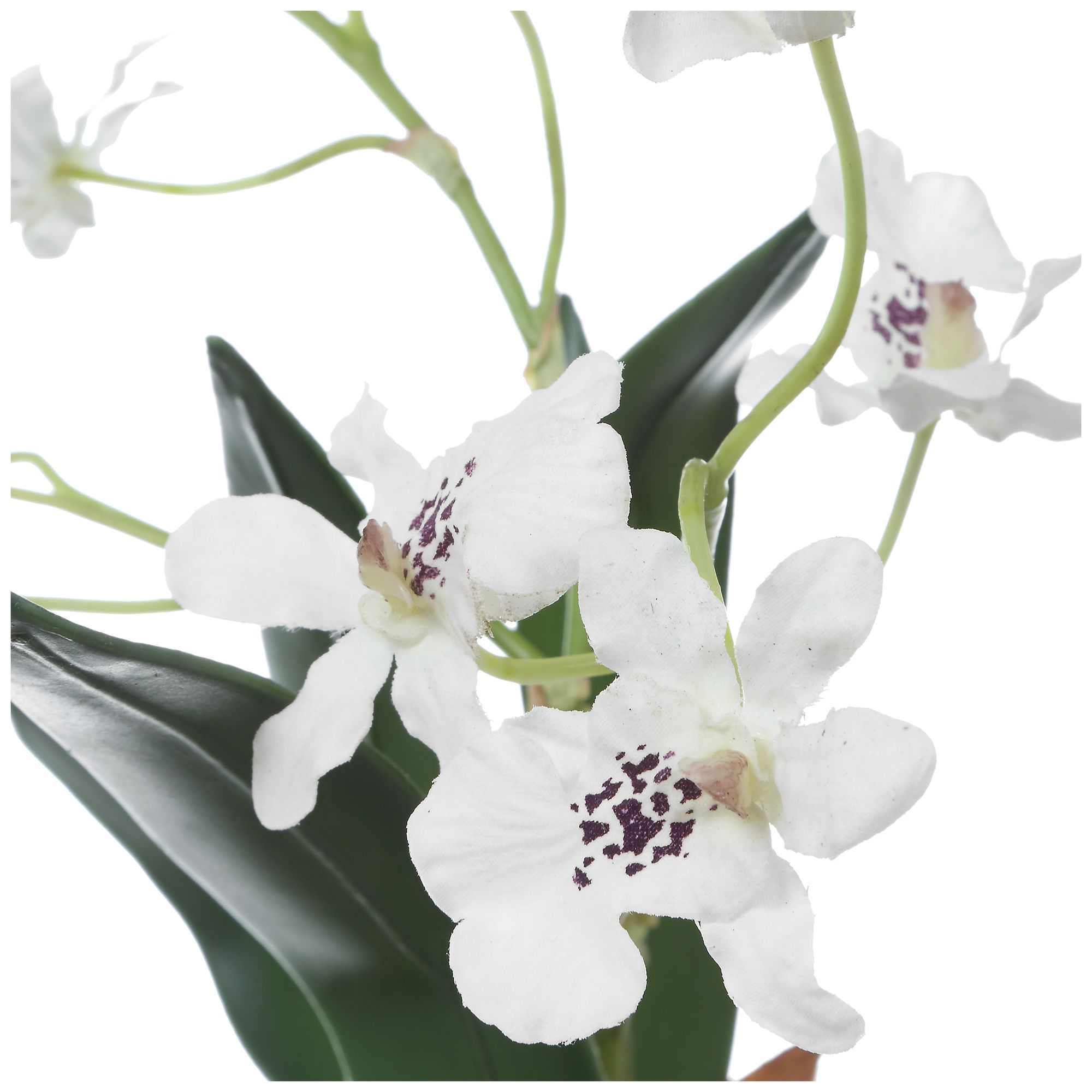 Image 6 Uttermost Clovis Orchid Drop-In more views