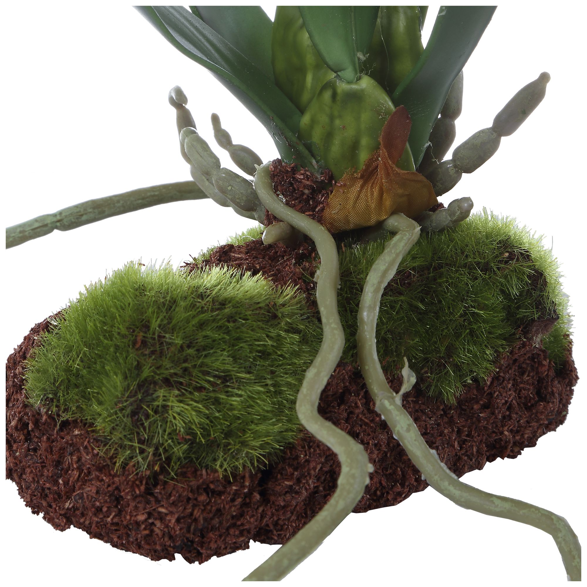 Image 7 Uttermost Clovis Orchid Drop-In more views
