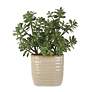 2_Uttermost Crassula Jade 24" High Faux Plant in Pot