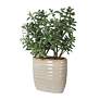 3_Uttermost Crassula Jade 24" High Faux Plant in Pot more views