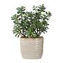 5_Uttermost Crassula Jade 24" High Faux Plant in Pot more views