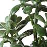6_Uttermost Crassula Jade 24" High Faux Plant in Pot more views
