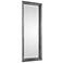 Uttermost Dario Silver 30 1/2" x 78 1/2" Wall Mirror