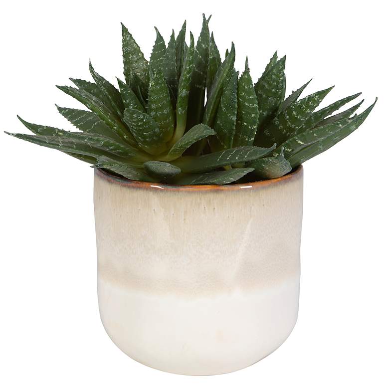 Image 2 Uttermost Doha Succulent Accent