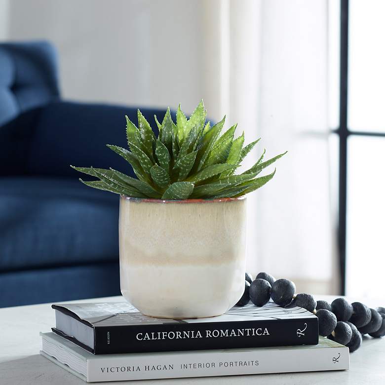 Image 1 Uttermost Doha Succulent Accent