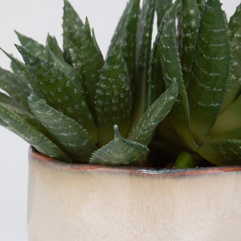 Image 4 Uttermost Doha Succulent Accent more views