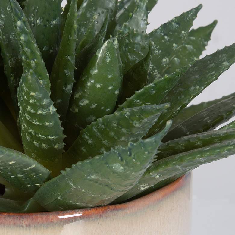 Image 5 Uttermost Doha Succulent Accent more views