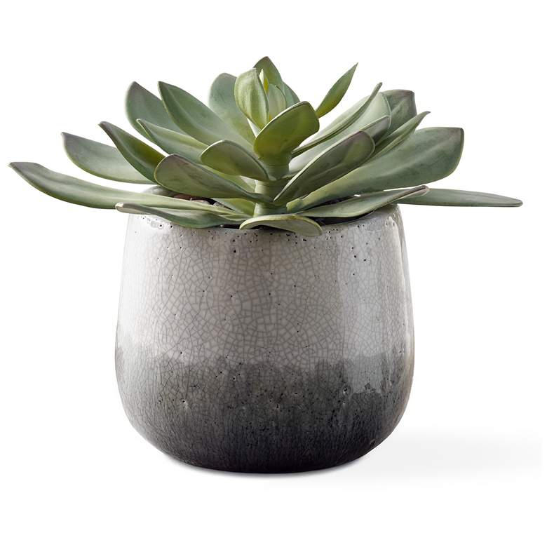 Image 2 Uttermost Dudleya 10" Wide Indoor-Outdoor Succulent