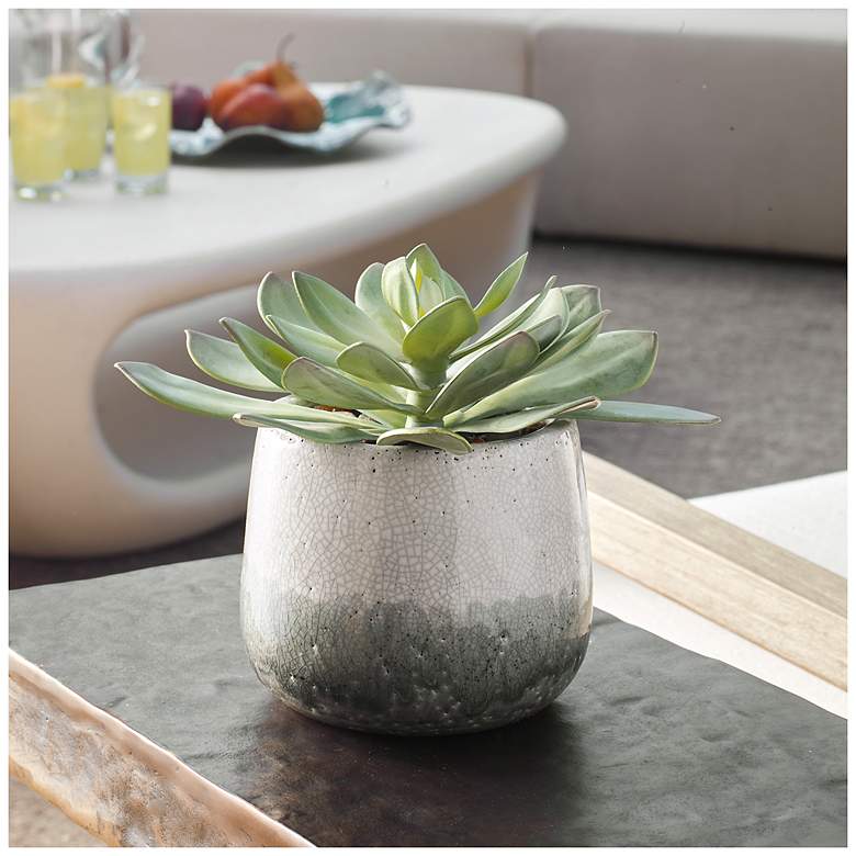 Image 1 Uttermost Dudleya 10" Wide Indoor-Outdoor Succulent