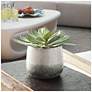 1_Uttermost Dudleya 10" Wide Indoor-Outdoor Succulent