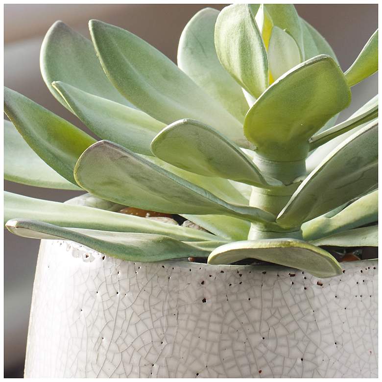 Image 3 Uttermost Dudleya 10" Wide Indoor-Outdoor Succulent more views