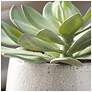 3_Uttermost Dudleya 10" Wide Indoor-Outdoor Succulent more views