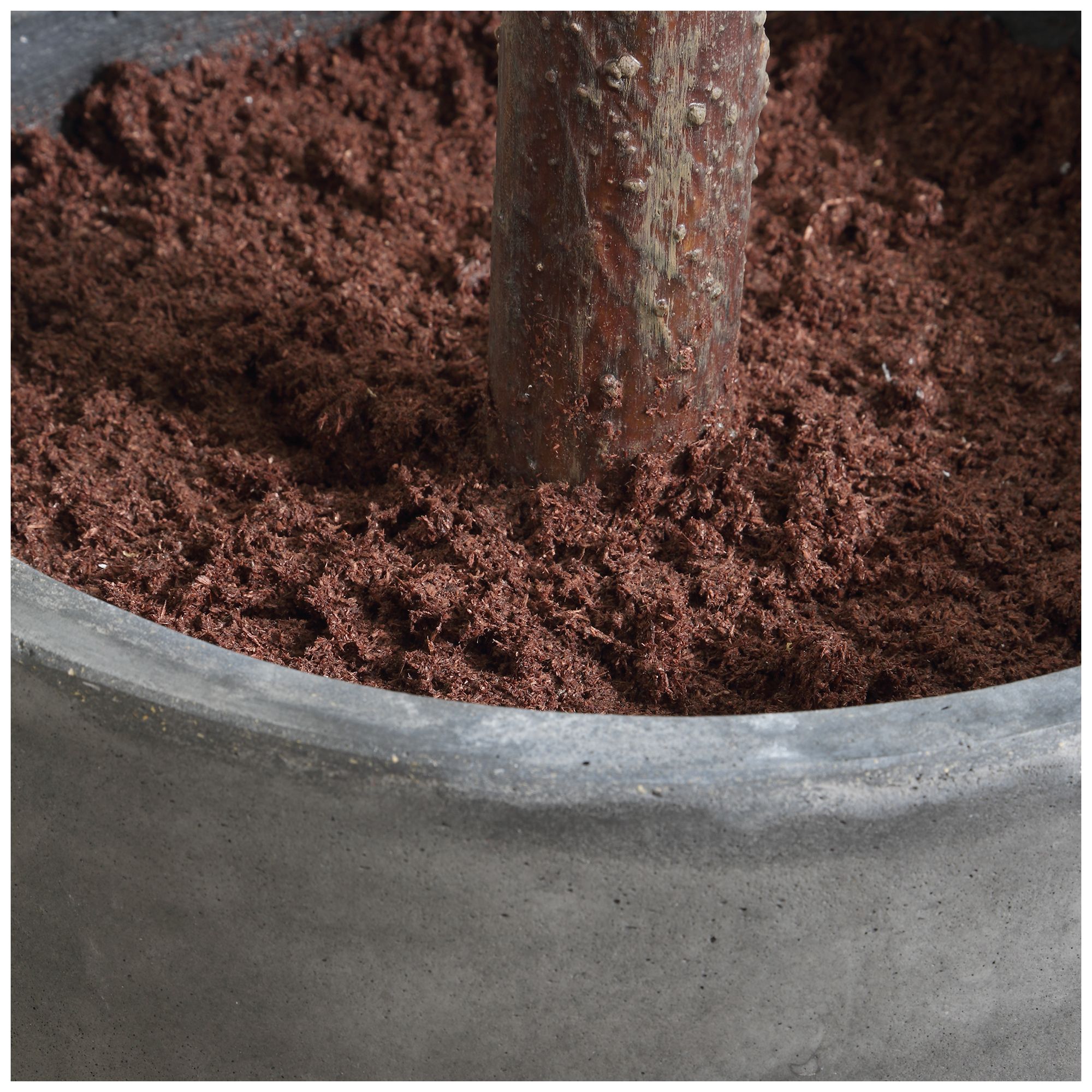 Image 4 Uttermost Eden 108" Potted Fig Tree more views