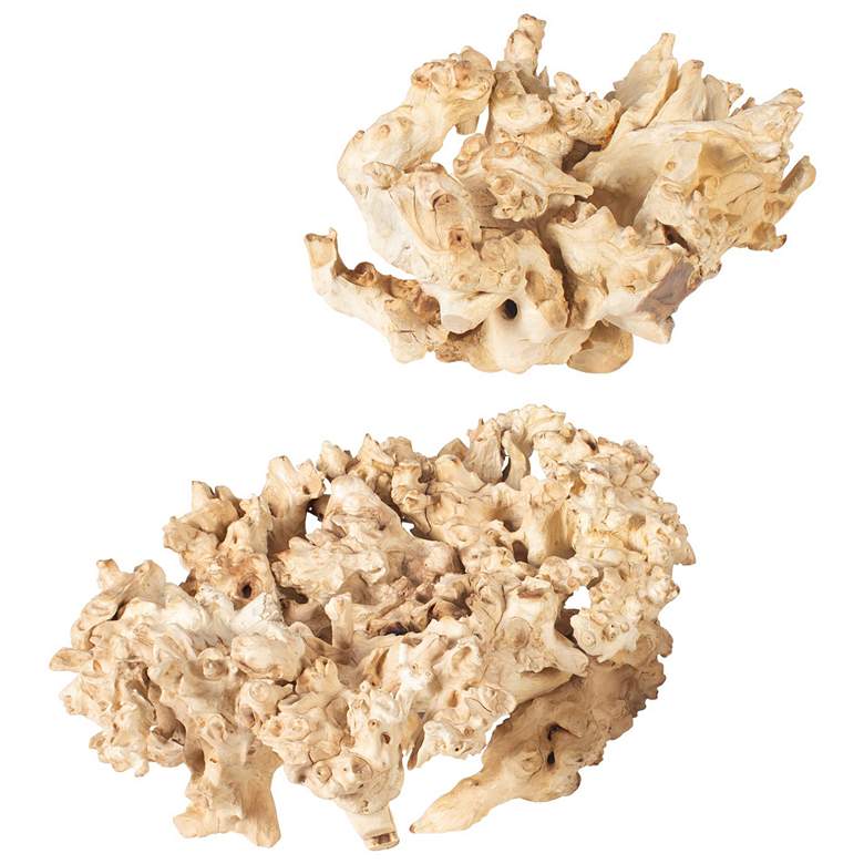 Image 1 Uttermost Elemental Root Indoor-Outdoor 2-Piece Sculptures