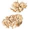 Uttermost Elemental Root Indoor-Outdoor 2-Piece Sculptures