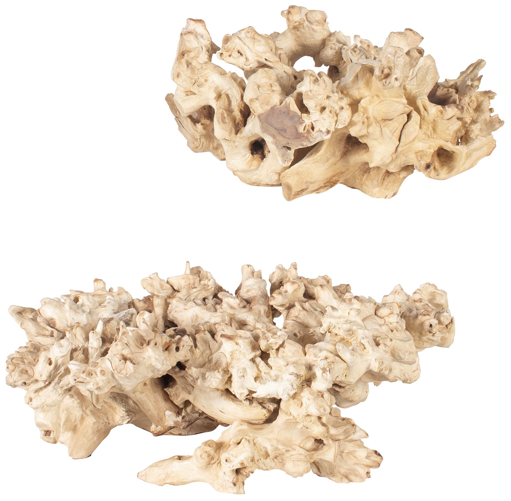 Thumbnail2 of Uttermost Elemental Root Indoor-Outdoor 2-Piece Sculptures more views