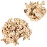 3_Uttermost Elemental Root Indoor-Outdoor 2-Piece Sculptures more views