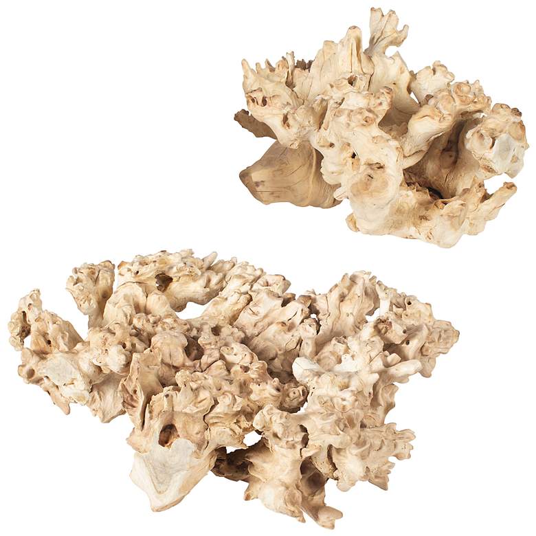 Image 4 Uttermost Elemental Root Indoor-Outdoor 2-Piece Sculptures more views
