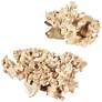 4_Uttermost Elemental Root Indoor-Outdoor 2-Piece Sculptures more views