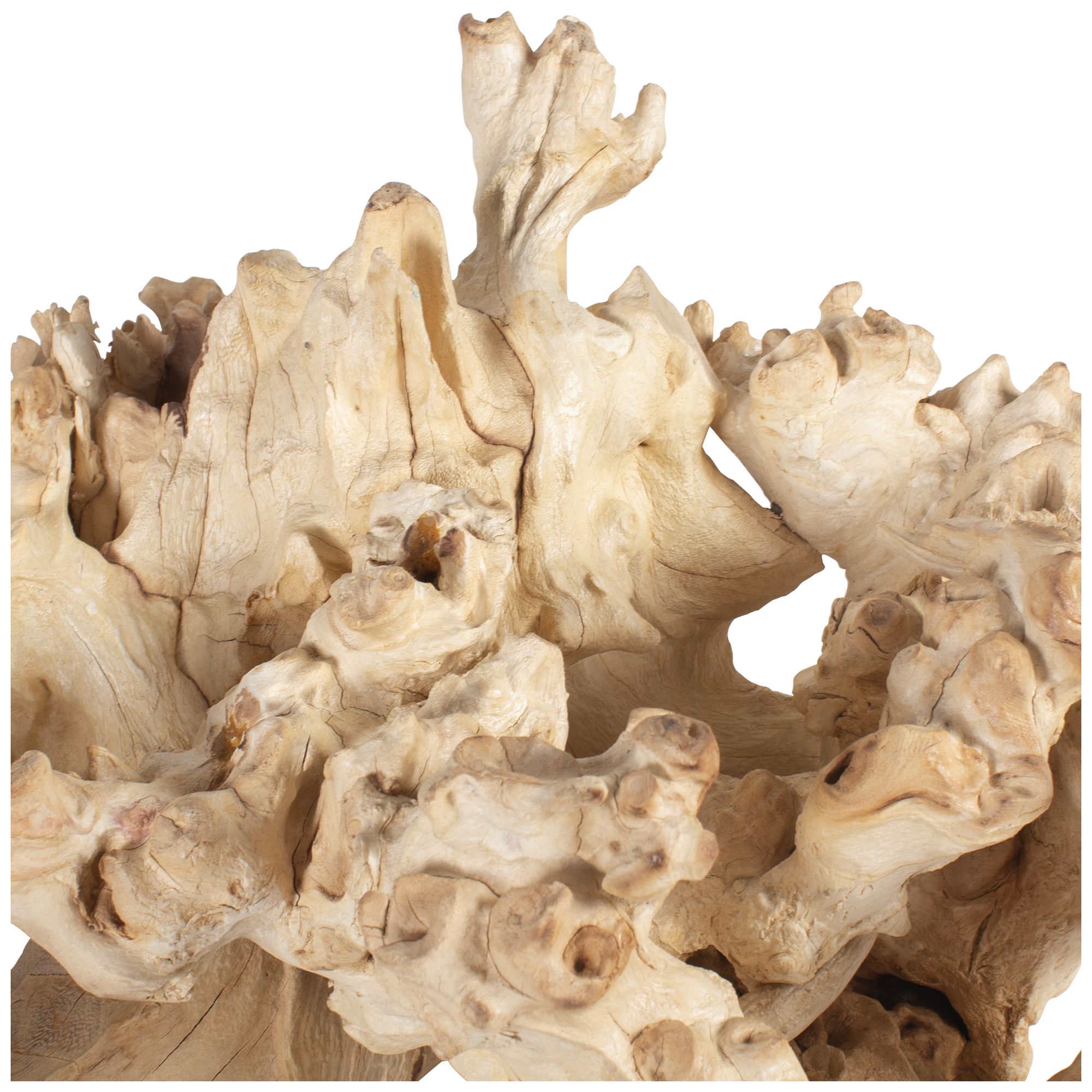 Uttermost Elemental Root Indoor-Outdoor 2-Piece Sculptures