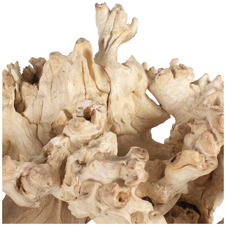 Image 5 Uttermost Elemental Root Indoor-Outdoor 2-Piece Sculptures more views