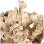 5_Uttermost Elemental Root Indoor-Outdoor 2-Piece Sculptures more views