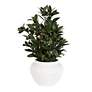 2_Uttermost Elena 20" Wide x 28" High Olive Centerpiece