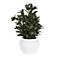 Uttermost Elena 20" Wide x 28" High Olive Centerpiece