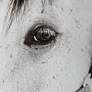 5_Uttermost Eye of the Beholder 46" Wide Framed Print Wall Art more views