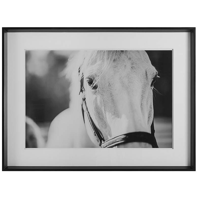 Image 1 Uttermost Eyes On The Prize 46.25 inch Wide Framed Print