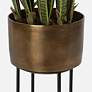 4_Uttermost Fasita 44" High Faux Snake Plant in Pot more views