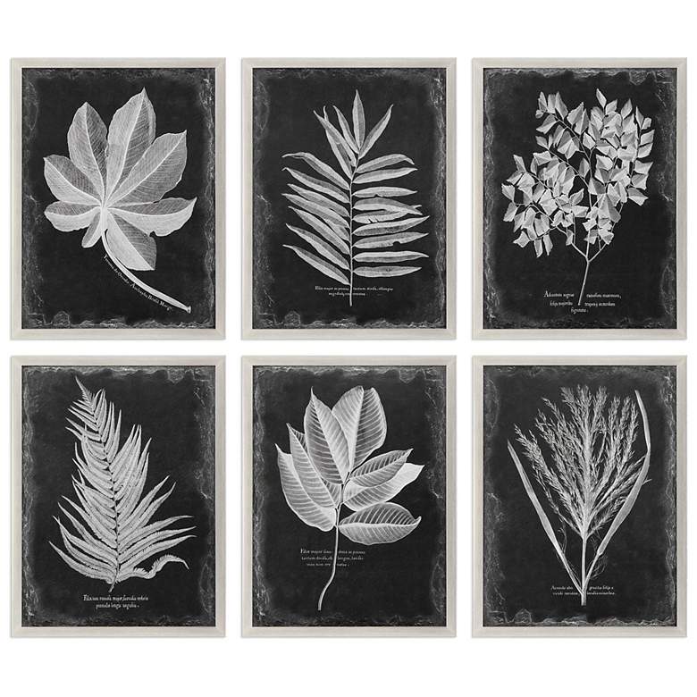 Image 2 Uttermost Foliage 33 3/4" Wide 6-Piece Framed Wall Art Set