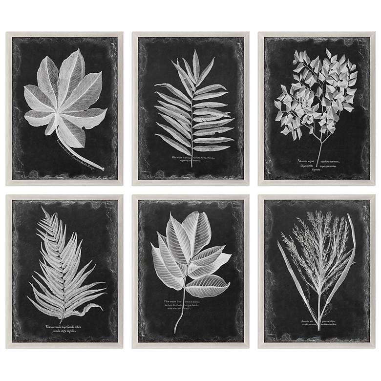 Image 2 Uttermost Foliage 33 3/4 inch Wide 6-Piece Framed Wall Art Set