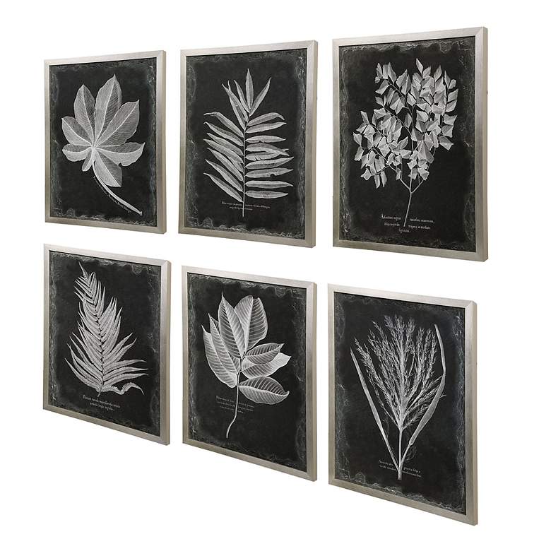 Image 4 Uttermost Foliage 33 3/4" Wide 6-Piece Framed Wall Art Set more views