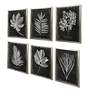 4_Uttermost Foliage 33 3/4" Wide 6-Piece Framed Wall Art Set more views