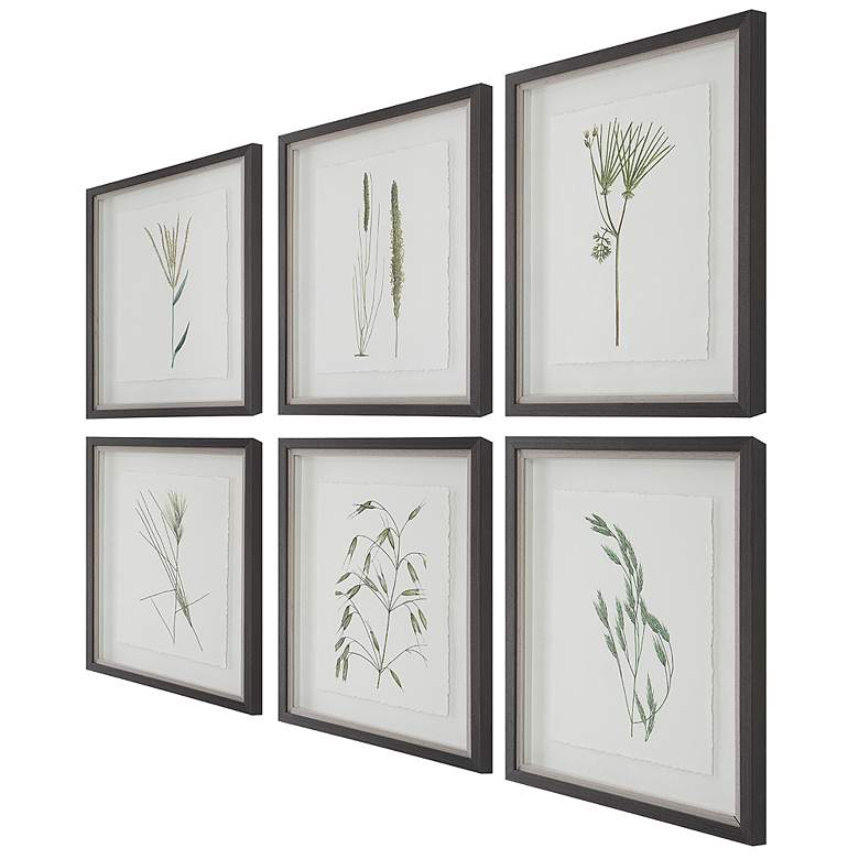 Image 7 Uttermost Forest Finds 22 inch High 6-Piece Framed Wall Art Set more views