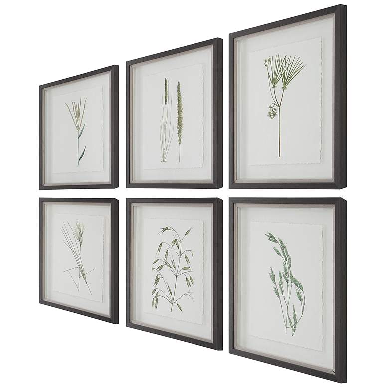 Image 7 Uttermost Forest Finds 22" High 6-Piece Framed Wall Art Set more views
