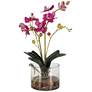 Uttermost Glory Fuschia Orchid