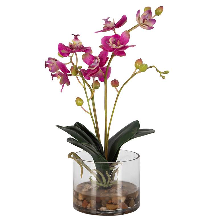 Image 2 Uttermost Glory Fuschia Orchid