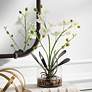 1_Uttermost Glory White Orchid 13"H Faux Flowers in Container